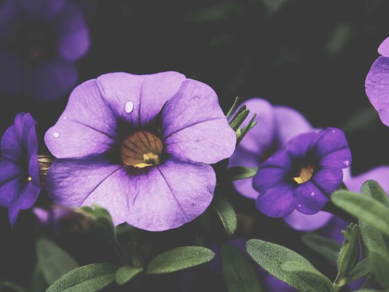 sudoku multiple solutions screenshot 5